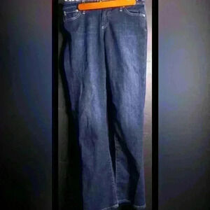 AG Adriano Goldschmied Petite Boot Cut Jean Size 28R